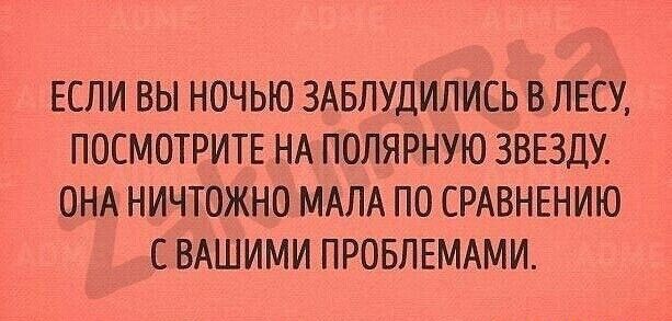 ЕСЛИ ВЫ НОЧЬЮ ЗАБПУДИЛИСЬ В ЛЕСУ ПОСМОТРИТЕ НА ПОЛЯРНУЮ ЗВЕЗДУ ОНА НИЧТОЖНО МАЛА ПО СРАВНЕНИЮ С ВАШИМИ ПРОБЛЕМАМИ