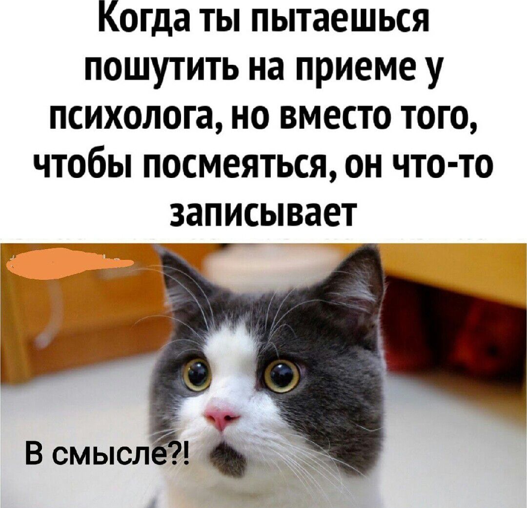 Когда ты пытаешься пошутить на приеме у психолога но вместо того чтобы посмеяться он что то записывает