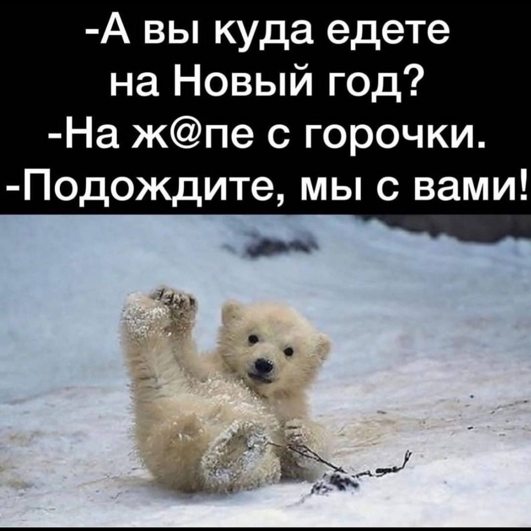 А вы куда едете на Новый год На жпе с горочки Подождите мы с вами