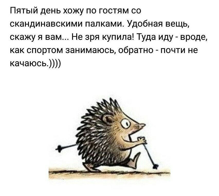 Пятый день хожу по гостям со скандинавскими папками Удобная вещь скажу я вам Не зря купила Туда иду вроде как спортом занимаюсь обратно почти не качаюсь