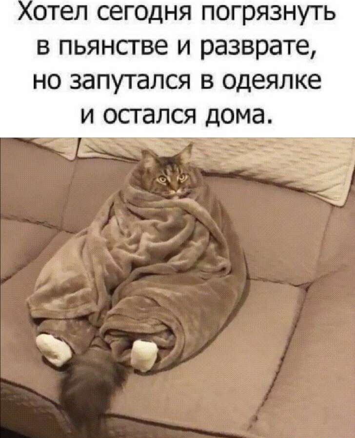 отел сегодня погрязнуть в пьянсгве и разврате но запутался в одеялке И ОСГ ался дома