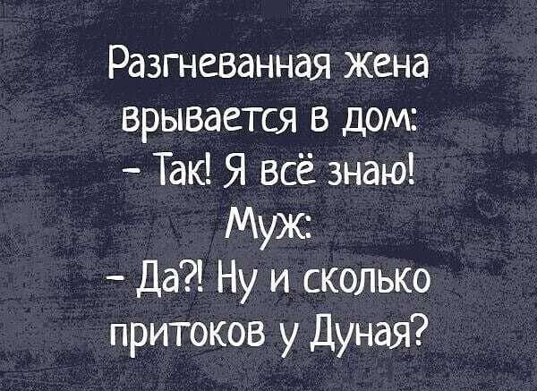 Разгневанная жена врывается в дом Так Я всё знаю Муж Да Ну и сколько притоков у Дуная