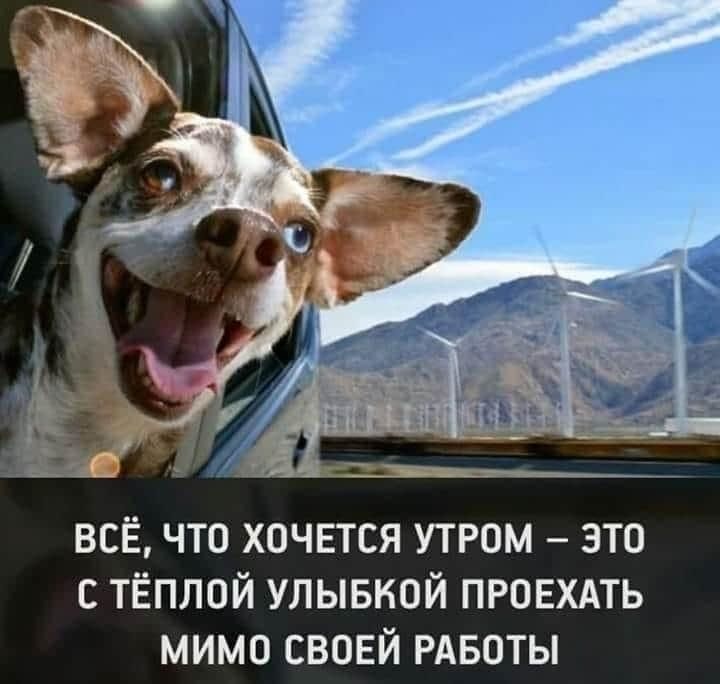 всЁ что хпчвтся утром это с тёплой улывкой проехдть мимо своей РАБОТЫ