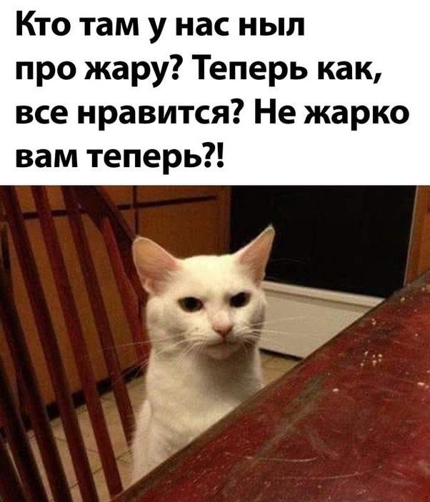 Кто там у нас ныл про жару Теперь как все нравится Не жарко вам теперь