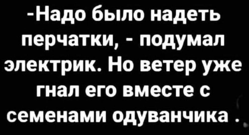 Надо было надеть перчатки подумал электрик Но ветер уже гнал его вместе с семенами одуванчика