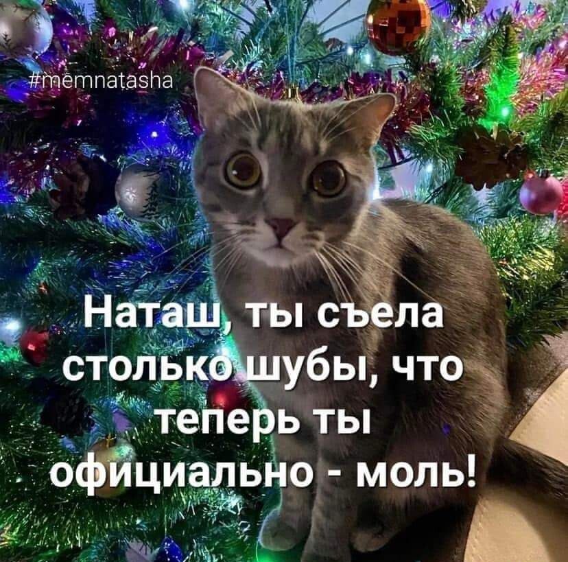 чтбз те евь ты официально моль РО нЫН