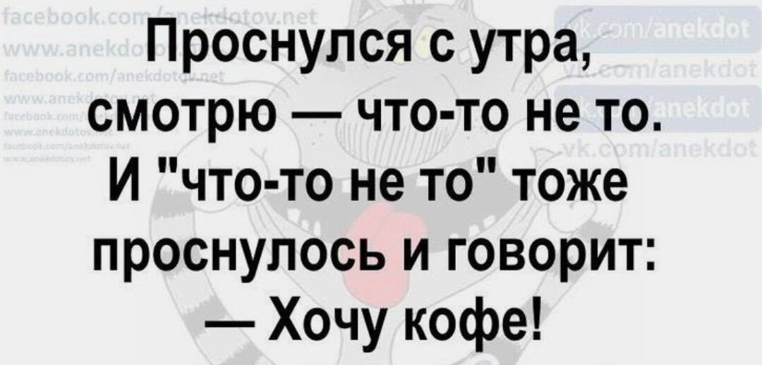 Проснулся с утра смотрю что то не то И что то не то тоже проснулось и говорит Хочу кофе