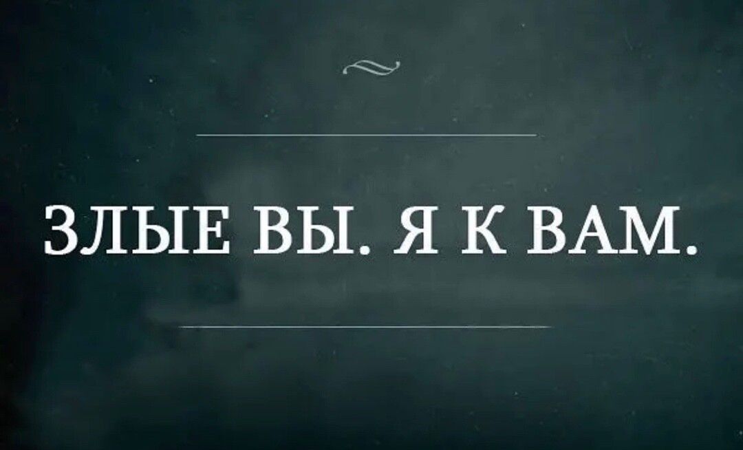 ЗЛЫЕ ВЫ Я К ВАМ