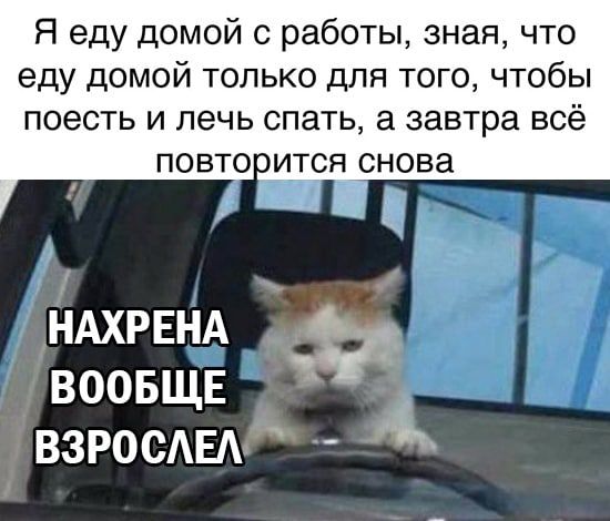 Я еду домой с работы зная что еду домой только для того чтобы поесть и лечь спать а завтра всё повтовится снова НАХРЕНА ВООБЩЕ взросмгд __