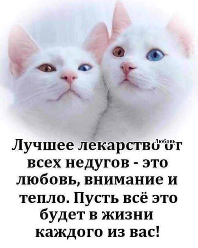 ___ Лучшее лекарстваг всех недугов это любовь внимание и тепло Пусть всё это будет в жизни каждого из вас