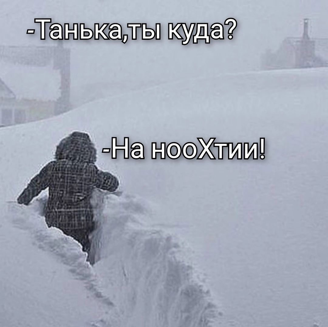 Т1ЮЩТЫ куда Н тХтшшП