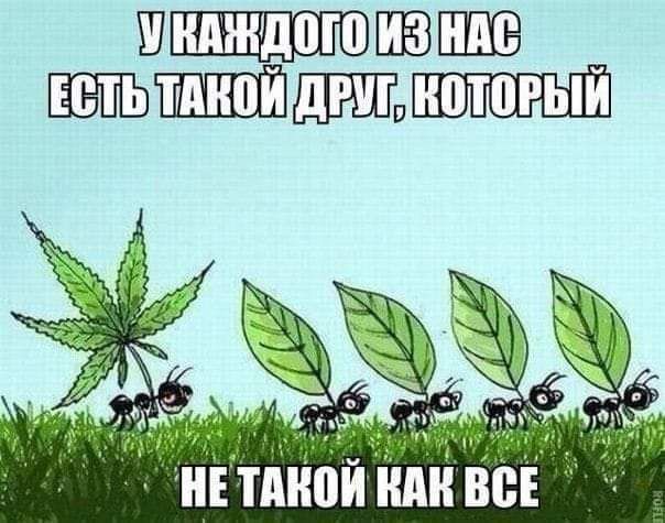 ШиджщоюПЕШЕШ ііЕ Тііііііи іііііі ВСЕ