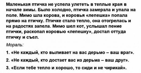 машини птичка не успела унии иные края мил ииы Было папаша тички мерзли и улиц ид попе мимо шп цоро и каро я папаши полип прямо из птчиу птичке стало имо она тгремш и нд радостях ином Мимо шпп шп успышш мии птички раскопал пора ые плепешкув попал тула тичпу съел мораль 1 и каждый по пнпипп на и дерьмо иш драг ие камни т штат не и мрьш иш прут сЕиш из кипа и хором ю сш и чириилй