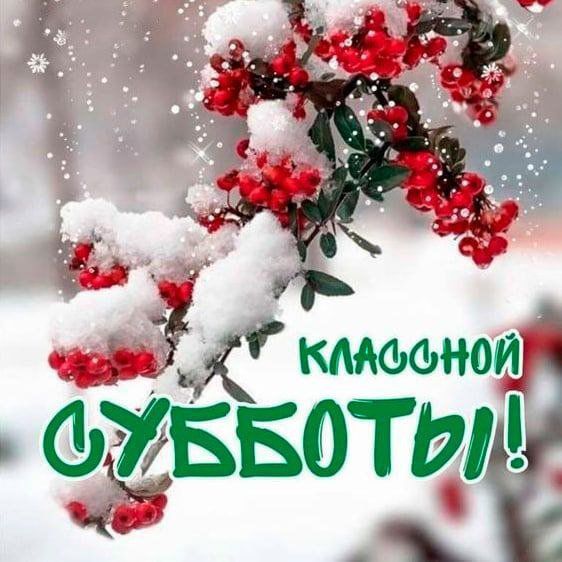 р 31 мюфном 51955011711