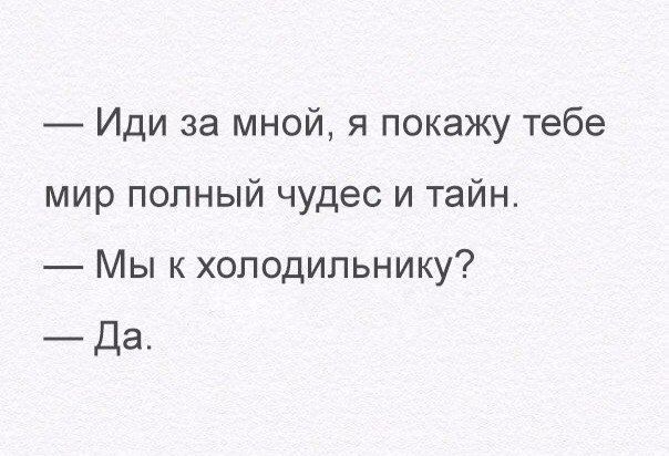 Иди за мной я покажу тебе мир полный чудес и тайн Мы к холодильнику Да