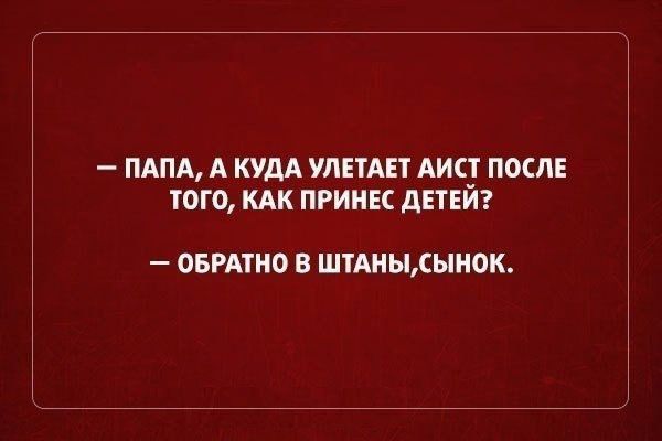 ПАПА А КУДА УАЕТАЕТ АИС ПОСЛЕ ТОГ0 КАК ПРИИЕС дЕТЕИ ОБРАТНО В ШТАИЫДЫИОК