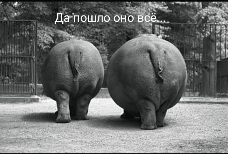 ф 7 _ Дё пошлбонЁЁГ 1 _ _ р за _ г
