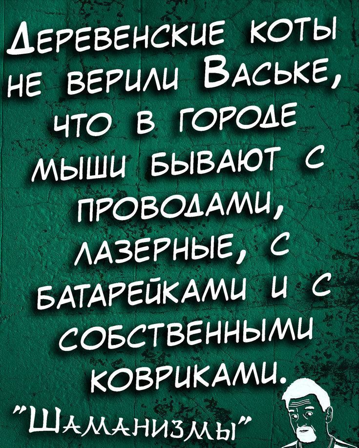 деревенские коты НЕ ВЕРЦАЦ ВАСЬКЕ что в городе мыши БЫВАЮТ с правомии ААЗЕРНЫЕ с БАТАРЕЙКАМЦ и с совствгнными КОВРЫКАМЦ ШАМАНИЗААы