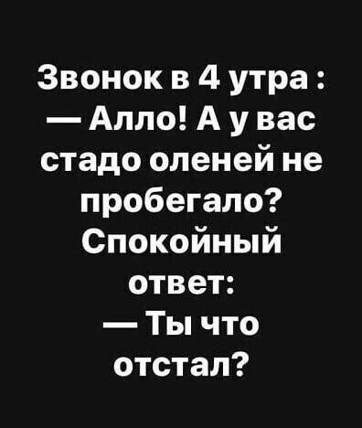 Звонок в 4 утра Алло А у вас стадо оленей не пробегала Спокойный ответ Ты что отстал