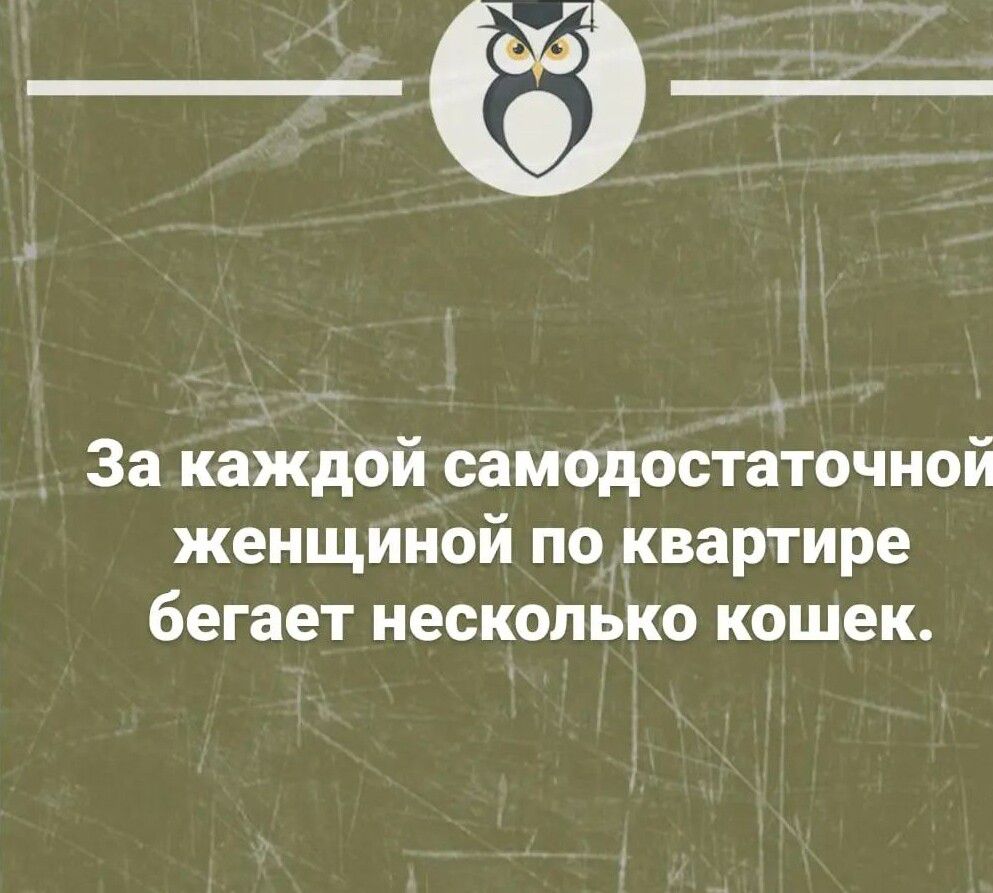 За каждой самодостаточной женщиной по квартире бегает несколько кошек