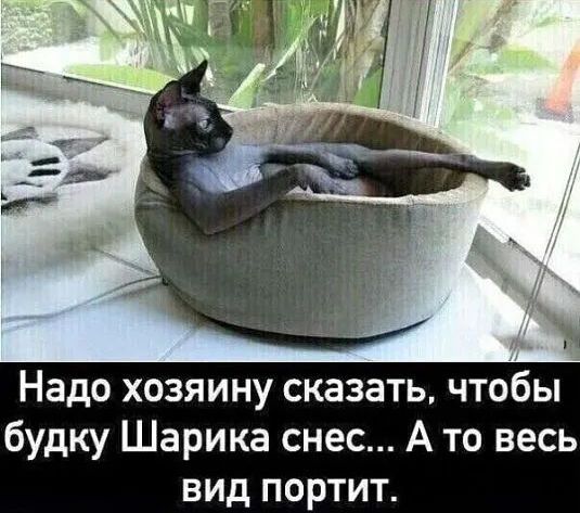Надо хозяину сказать чтобы будку Шарика снес А то весь вид портит