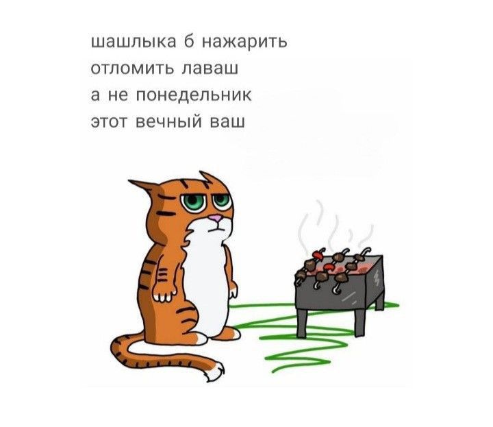 шашлыка 5 нажарить отломить лаваш а не понедельник этот вечный ваш
