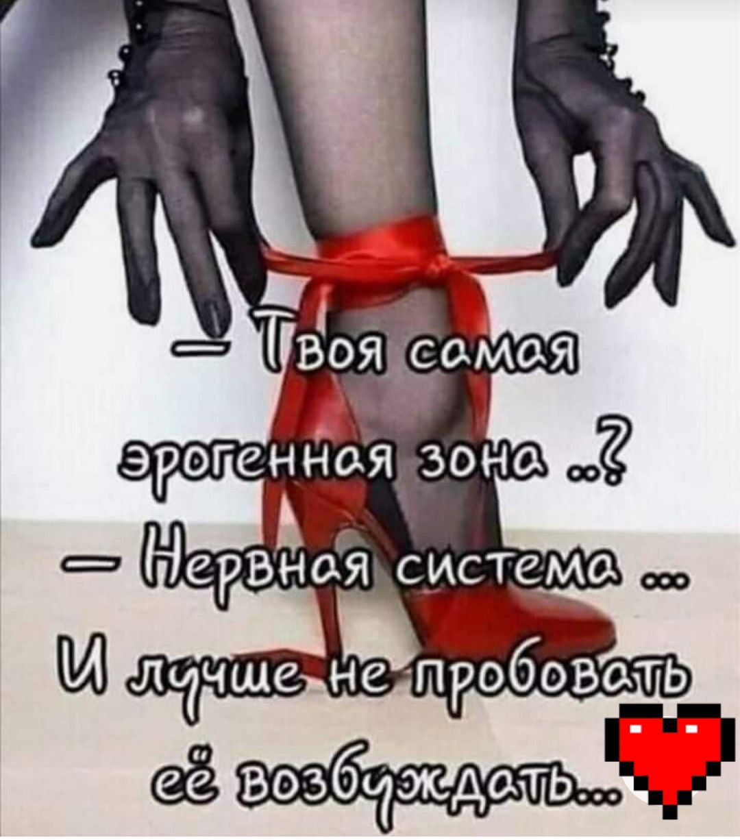 дю система в И Летчше не пробовть её яиц мид Нерв