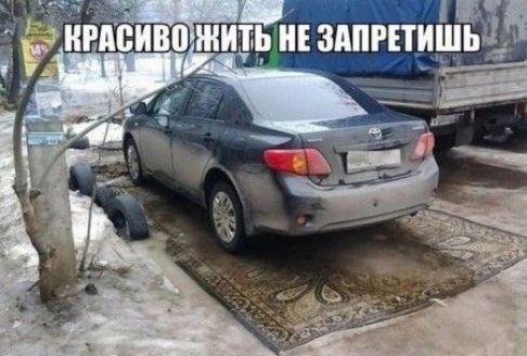 и зппгпищьдь ___