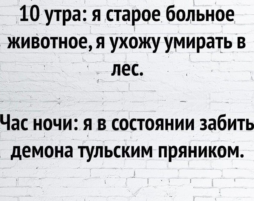 10 утра я старое больное животное я ухожу умирать в лес Час ночи я в состоянии забить демона тульским пряником