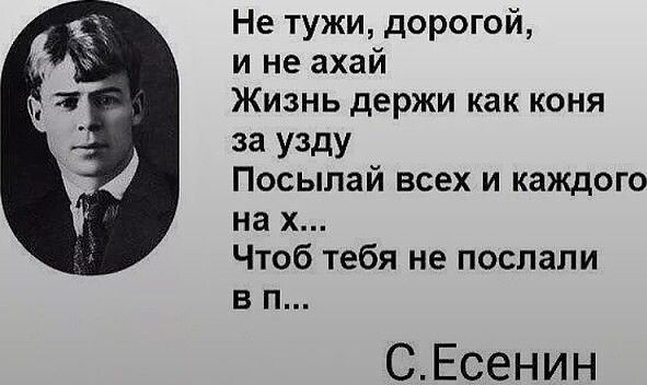 Не тужи дорогой и не ахай Жизнь держи как коня за у3ду Посыпай всех и каждого на х Чтоб тебя не послали в п СЕсенин