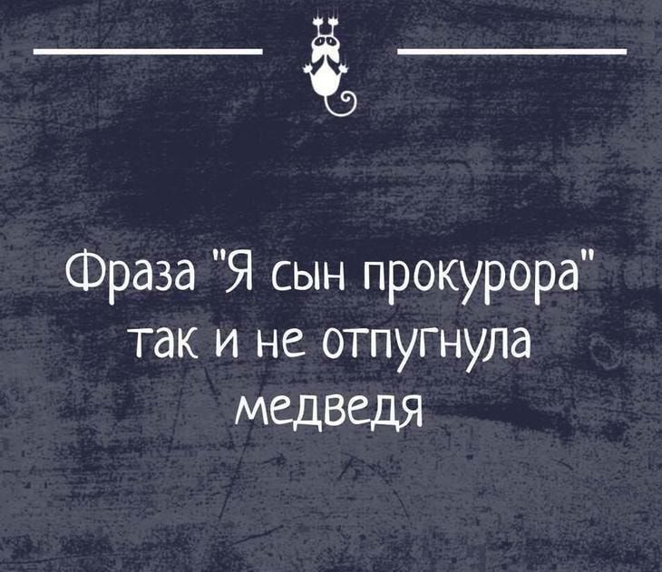 __ Фраза Я сын прокурора так и не отпугнула медведя