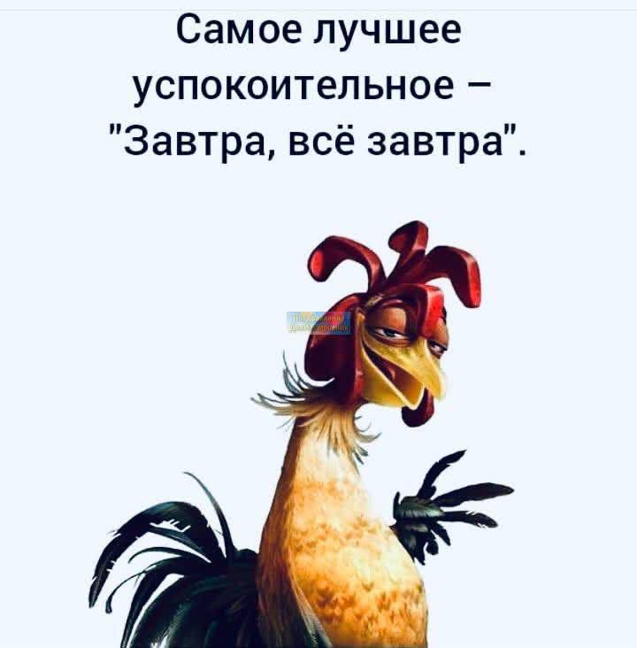 Самое лучшее успокоительное Завтра всё завтра