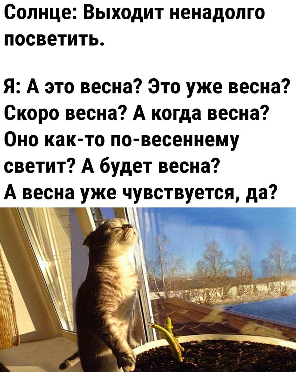 Солнце Выходит ненадолго посветить Я А это весна Это уже весна Скоро весна А когда весна Оно как то по весеннему светит А будет весна А весна уже чувствуется да