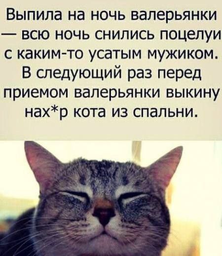 Выпила на ночь валерьянки всю ночь снились поцелуи с каким то усатым мужиком В следующий раз перед приемом валерьянки выкину нахр кота из спальни