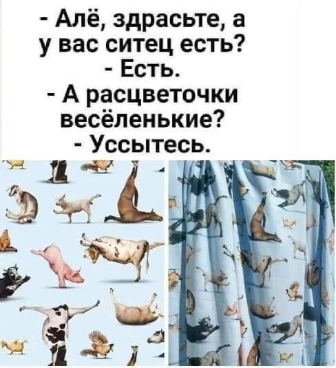 Алё здрасьте а у вас ситец есть Есть А расцветочки весёленькие Уссытесь