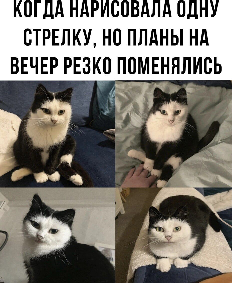 СТРЕЛКУ НП ПЛАНЫ НА ВЕЧЕР РЕЗКЦ ПОМЕНЯЛИБЬ