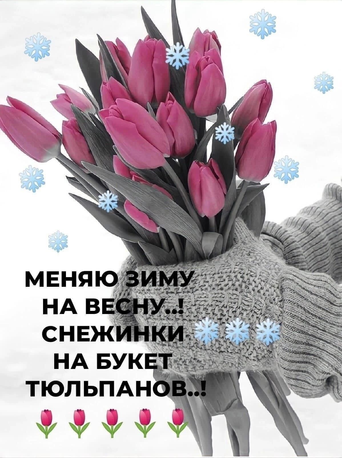 ТЮЛЬПАН ёуд