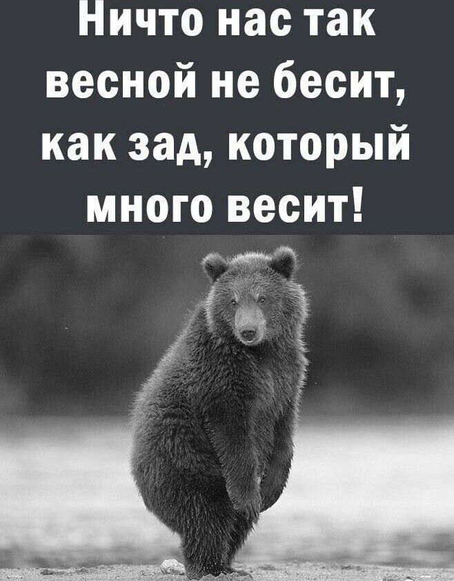 Ничто нас так весной не бесит как зад который много весит тм ща Ч