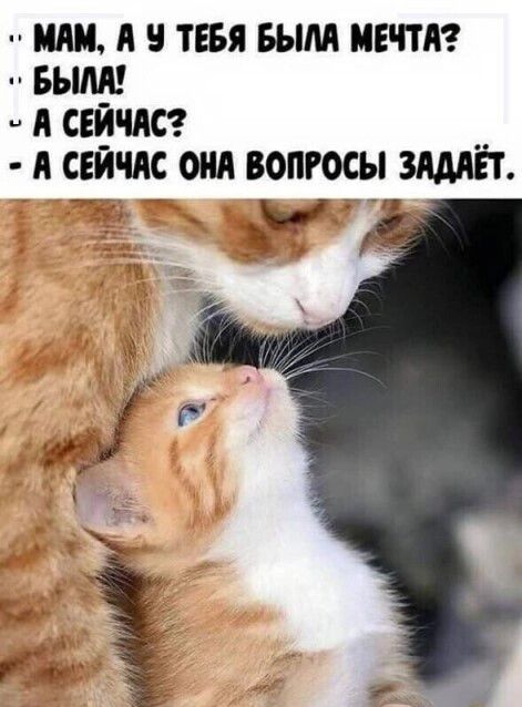 или Я ТЕБЯ БЫМ МЕЧТА вьшдз сеичас А СЕИЧАС оид ВОПРОСЫ ЗАМЁТ