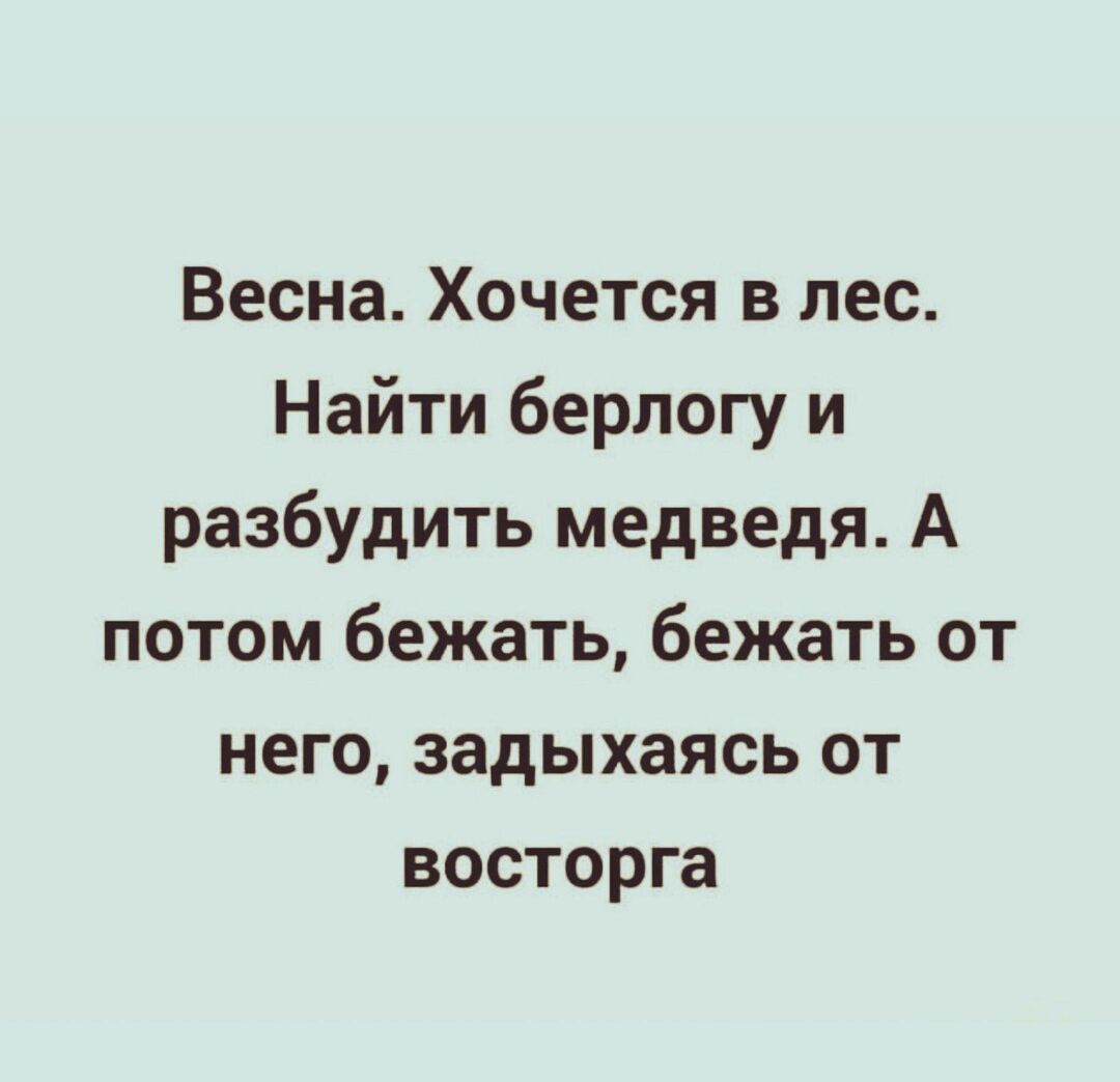 Весна Хочется в лес Найти берлогу и разбудить медведя А потом бежать бежать от него задыхаясь от восторга