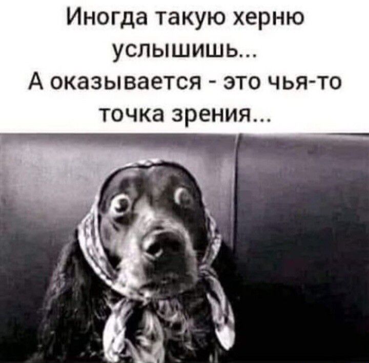 Иногда такую херню услышишь А оказывается это чья то точка зрения