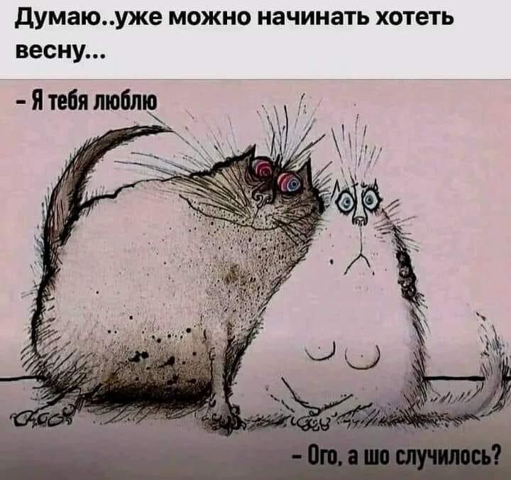 думаюуже можно начинать хо геть весну я тиви лыблю