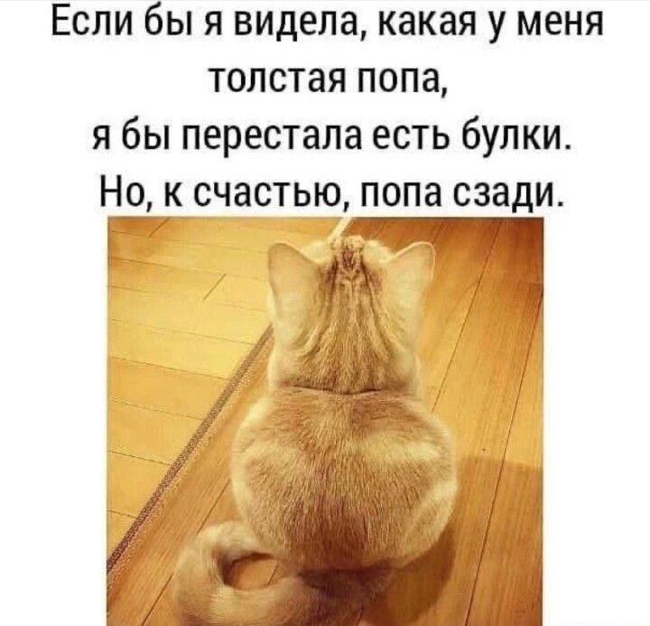 Если бы я видела какая у меня толстая попа я бы перестала есть булки Но к счастью попа сзади Г