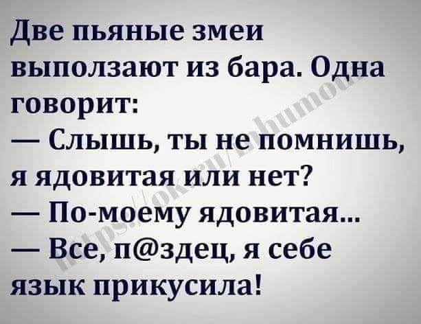 две пьяные змеи выползают из бара Одна говорит Слышь ты не помнишь я ядовитая или нет По моему ядовитая Все пздец я себе язык прикусила