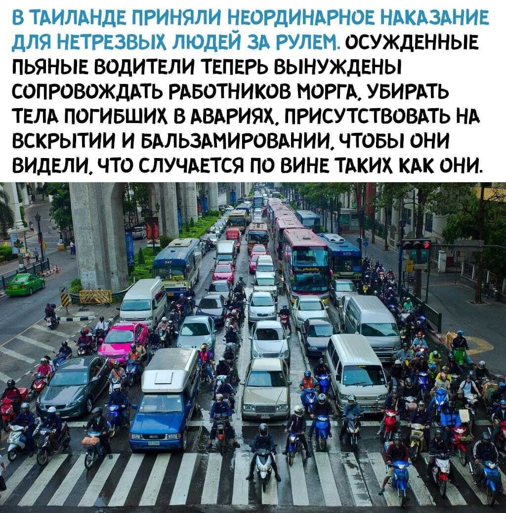 В ТАИЛАНДЕ ПРИНЯЛИ НЕОРДИНАРНОЕ НАКАЗАНИЕ дЛЯ НЕТРЕЗВЫХ ЛЮДЕЙ ЗА РУЛЕМ ОСУЖДЕННЫЕ ПЬЯНЫЕ ВодИТЕЛИ ТЕПЕРЬ ВЫНУЖДЕНЫ СОПРОЮЖДАТЬ РАБОТНИКОВ НОРГА УБИРАТЬ ТЕЛА ПОГИБШИХ В АВАРИЯХ ПРИСУТСТВОБАТЬ НА ВСКРЫТИИ И БАЛЬЗАНИРОВАНИИ ЧТОБЫ ОНИ ВИДЕЛИ ЧТО СЛУЧАЕТСЯ ПО ВИНЕ ТАКИХ КАК ОНИ _