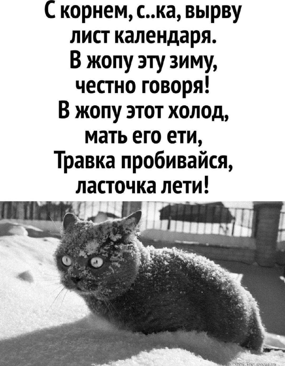 С корнем ска вырву лист календаря В жопу эту зиму честно говоря В жопу этот холод мать его ети Травка пробивайся ласточка лети