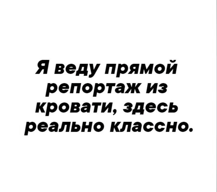 Я веду прямой репортаж из кровати здесь реально хорошо. Мем я веду репортаж из постели. Передаб привет из кроватки здесь реально.