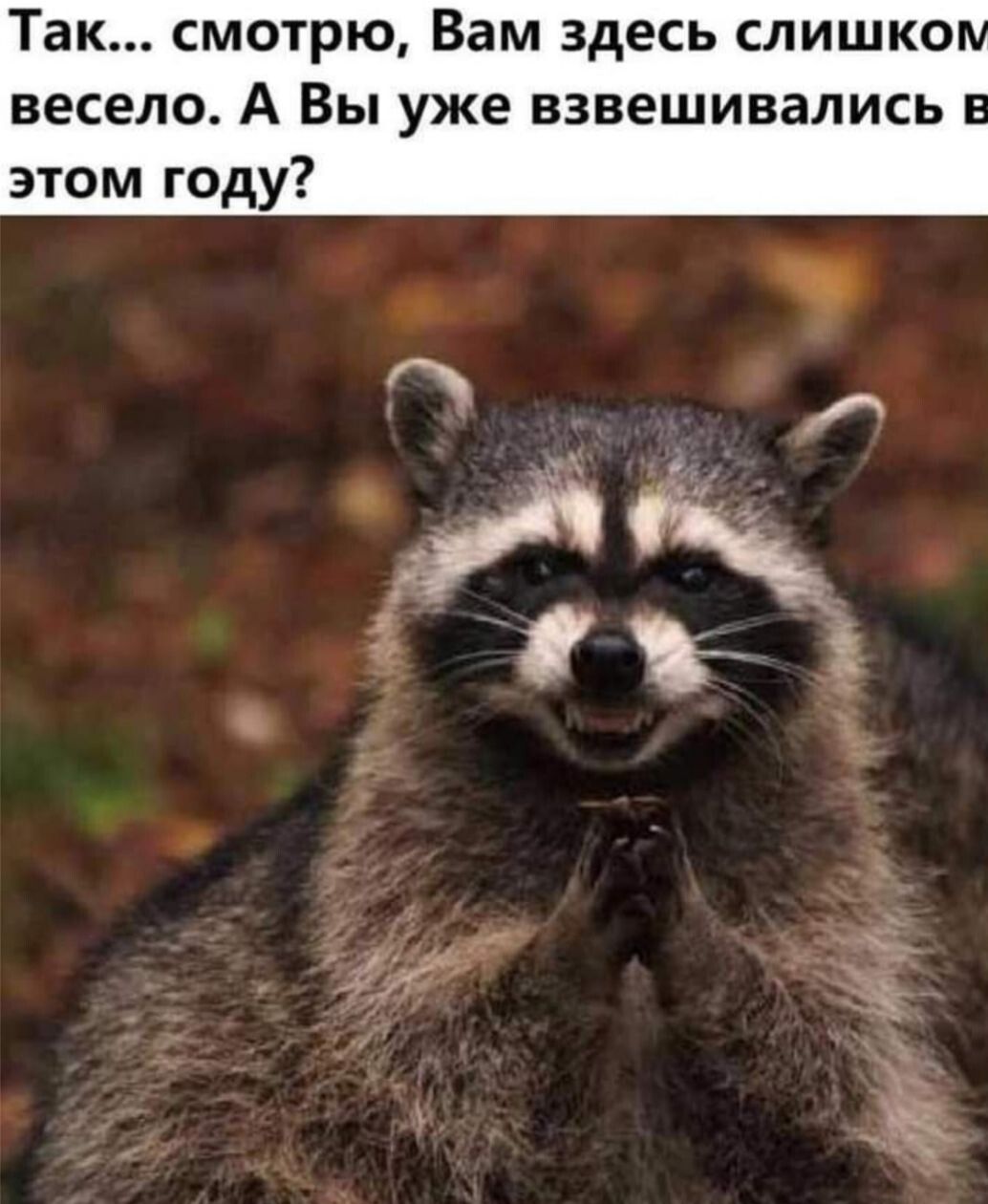 Так смотрю Вам здесь слишко весело А Вы уже взвешивались этом году 3 7 1