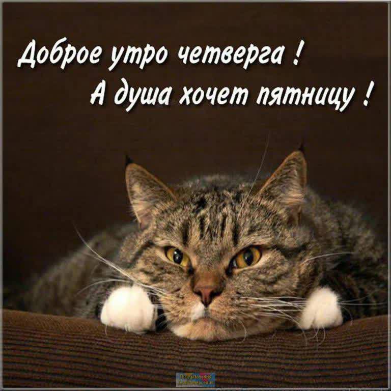 Доброе утро четверга Л душа хочет пятницу