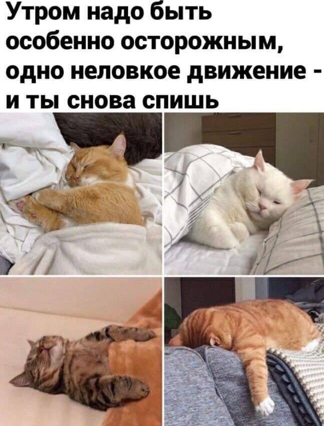 Утром надо быть особенно осторожным одно неловкое движение И ТЫ снова СПИШЬ